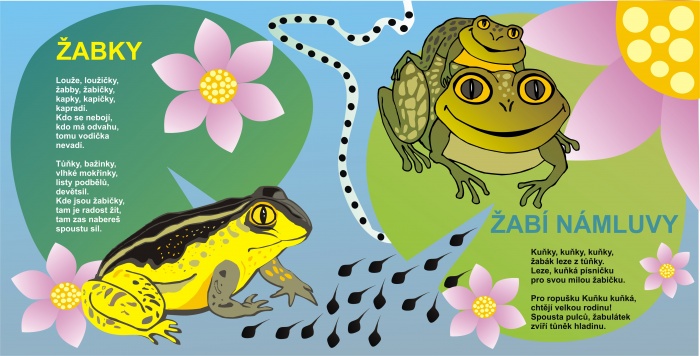 12---zabky-zabi-namluvy_1654.jpg