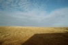 17580006-zmenseni-web_693.JPG