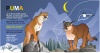 17puma---k7_1671.jpeg